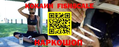 стаф Кулебаки