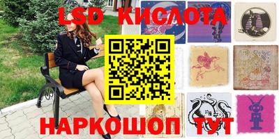 стаф Кулебаки