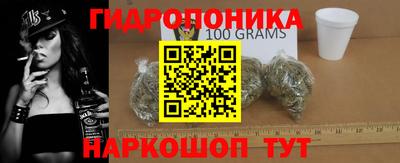 стаф Кулебаки