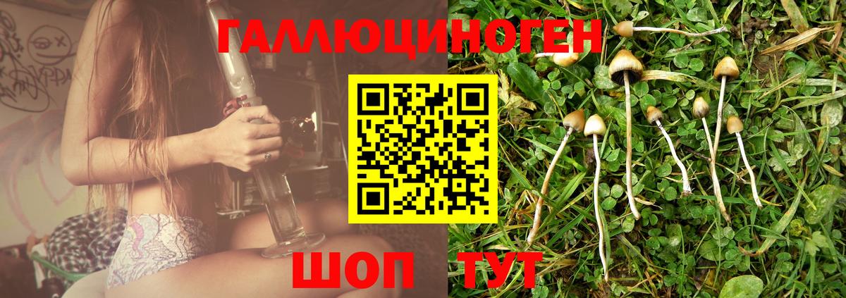 Псилоцибиновые грибы Psilocybe Касимов