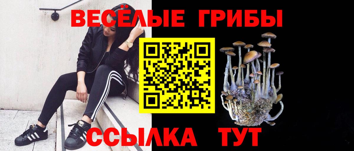 Псилоцибиновые грибы ЛСД  Вход с VPN  Касимов 